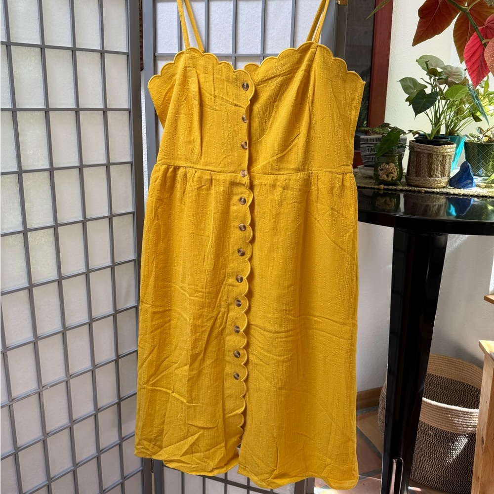City Chic Sunshine Yellow Scallop Cotton Sun Dress